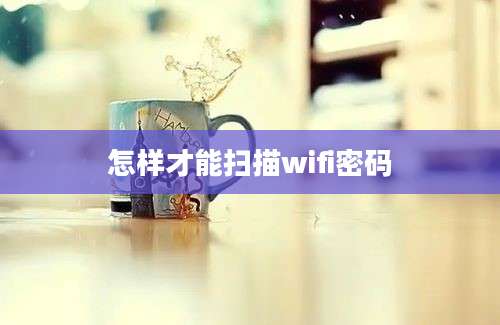 怎样才能扫描wifi密码