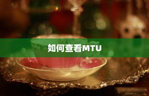 如何查看MTU