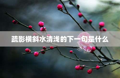 疏影横斜水清浅的下一句是什么