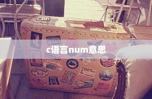 c语言num意思