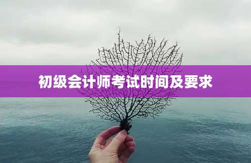 初级会计师考试时间及要求