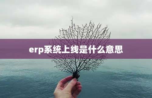 erp系统上线是什么意思