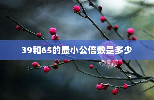 39和65的最小公倍数是多少