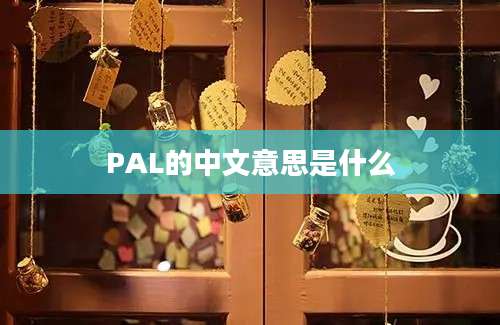 PAL的中文意思是什么