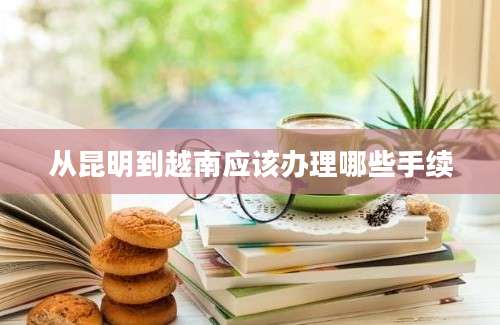 从昆明到越南应该办理哪些手续