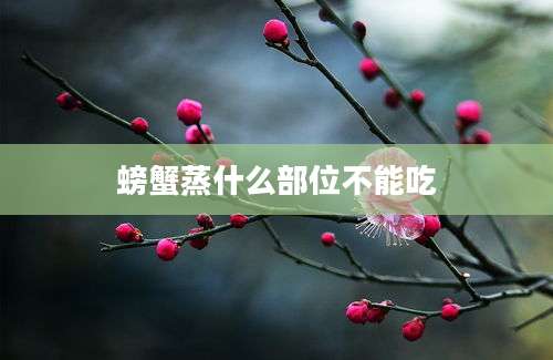 螃蟹蒸什么部位不能吃