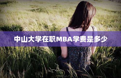 中山大学在职MBA学费是多少