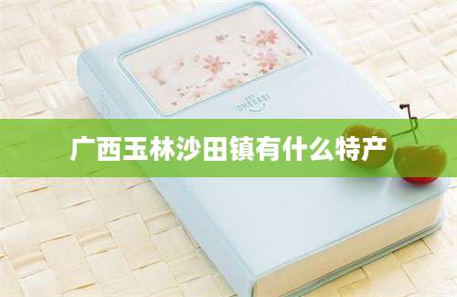 广西玉林沙田镇有什么特产