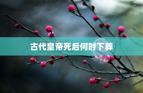 古代皇帝死后何时下葬