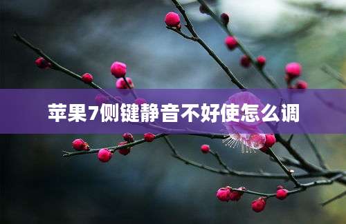 苹果7侧键静音不好使怎么调