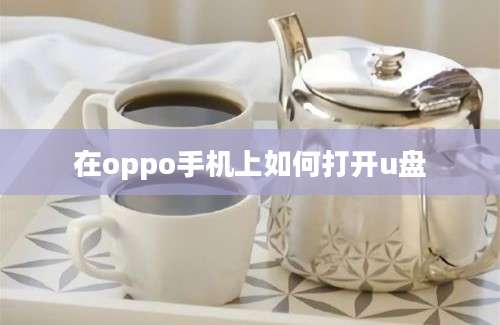 在oppo手机上如何打开u盘