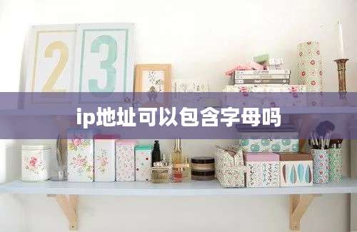 ip地址可以包含字母吗