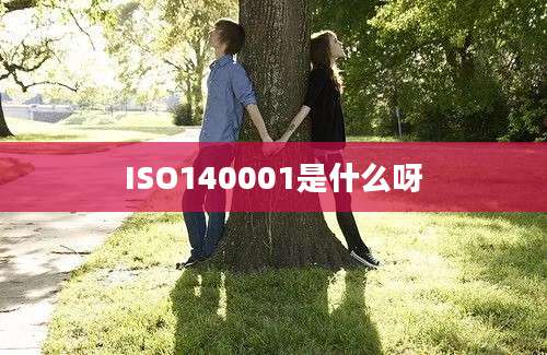 ISO140001是什么呀