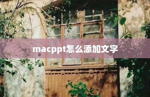 macppt怎么添加文字