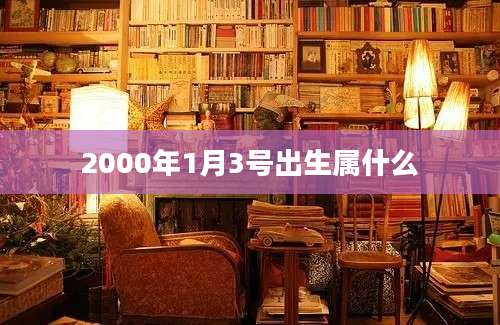 2000年1月3号出生属什么