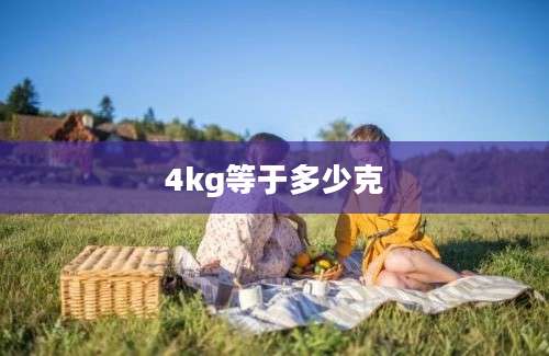 4kg等于多少克