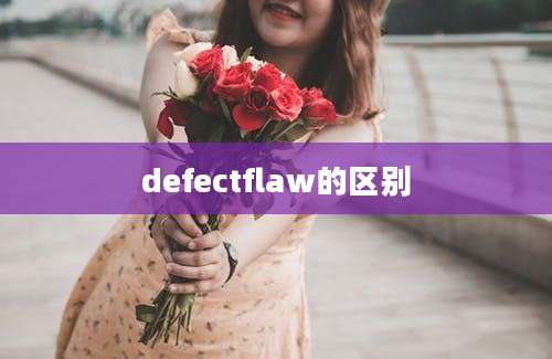 defectflaw的区别