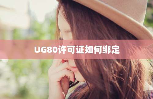 UG80许可证如何绑定