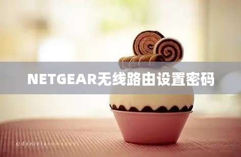 NETGEAR无线路由设置密码