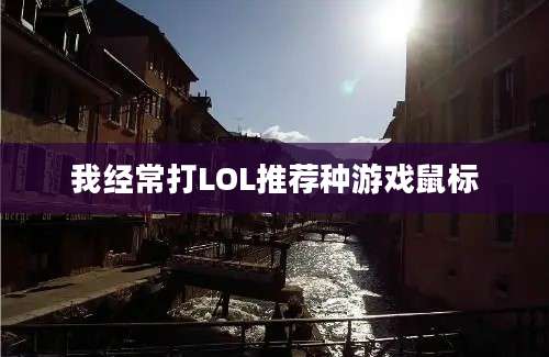 我经常打LOL推荐种游戏鼠标