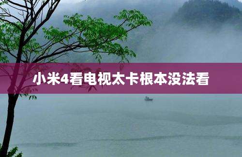 小米4看电视太卡根本没法看