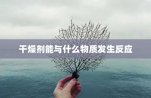 干燥剂能与什么物质发生反应