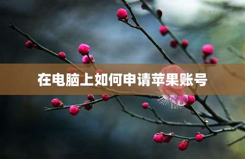 在电脑上如何申请苹果账号