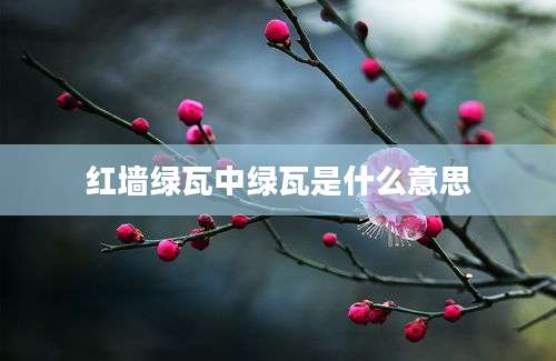 红墙绿瓦中绿瓦是什么意思