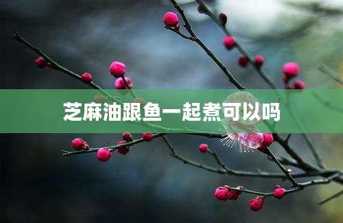 芝麻油跟鱼一起煮可以吗