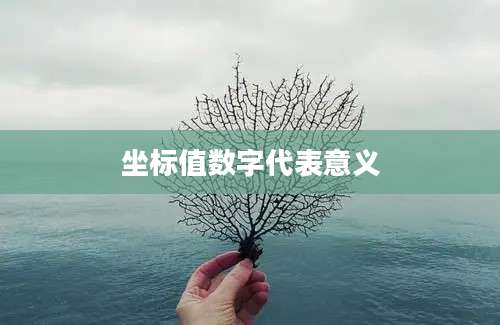 坐标值数字代表意义