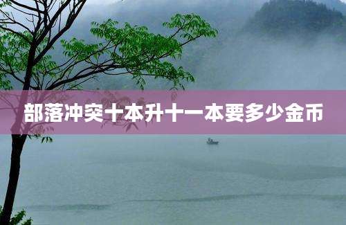 部落冲突十本升十一本要多少金币