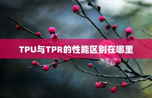 TPU与TPR的性能区别在哪里