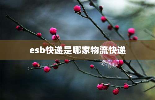 esb快递是哪家物流快递