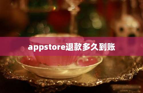 appstore退款多久到账