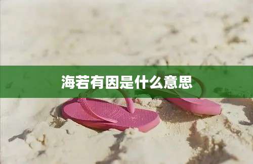 海若有因是什么意思