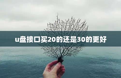 u盘接口买20的还是30的更好