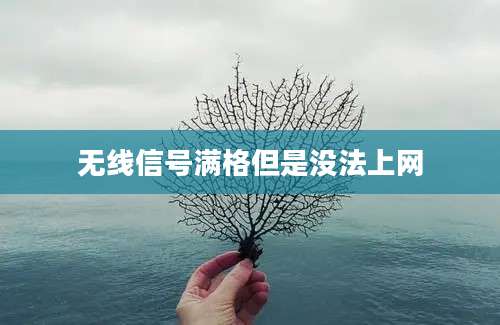 无线信号满格但是没法上网