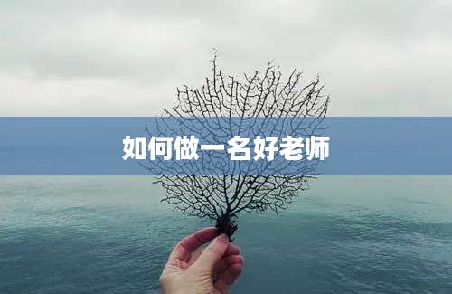 如何做一名好老师