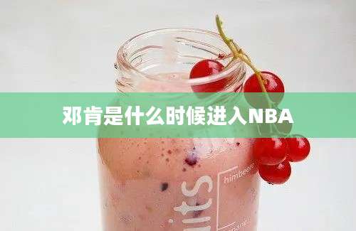 邓肯是什么时候进入NBA