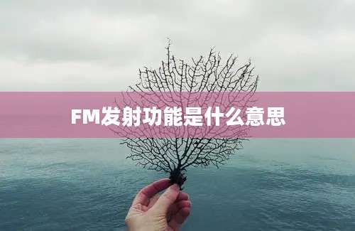 FM发射功能是什么意思