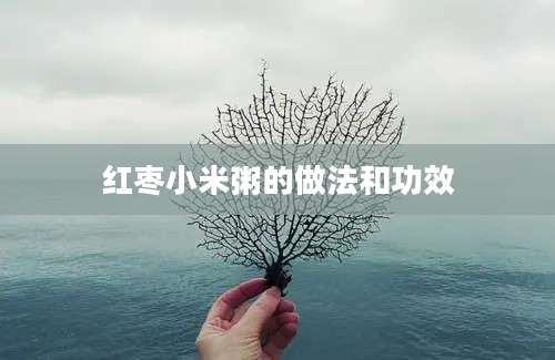 红枣小米粥的做法和功效