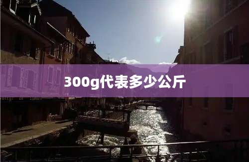 300g代表多少公斤