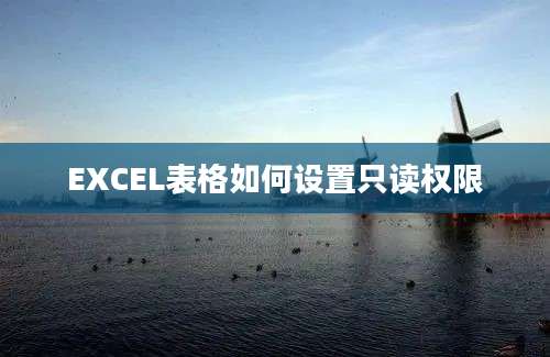 EXCEL表格如何设置只读权限