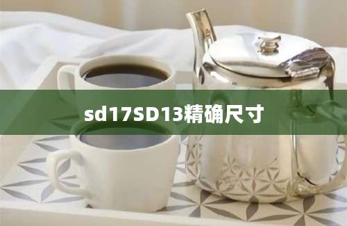 sd17SD13精确尺寸