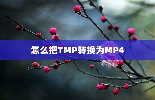 怎么把TMP转换为MP4