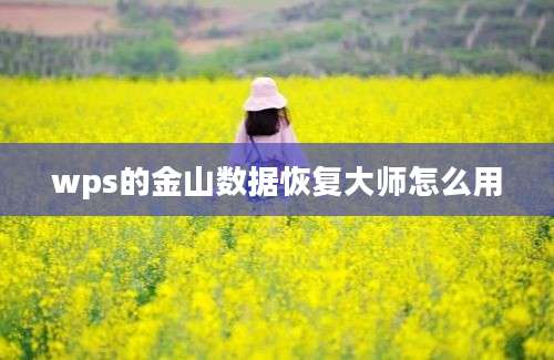 wps的金山数据恢复大师怎么用