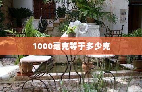 1000毫克等于多少克