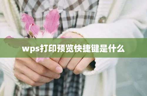 wps打印预览快捷键是什么