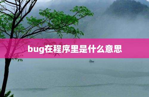 bug在程序里是什么意思