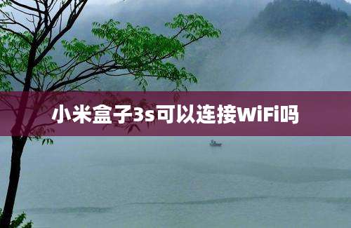 小米盒子3s可以连接WiFi吗